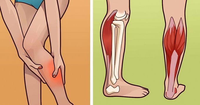 Почему на ноге дергается мышца